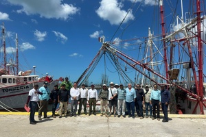 México logra calificación de 93% en comparabilidad para exportación de camarón mexicano a Estados Unidos