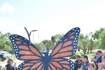 CON HOMENAJE A LA PROFRA. NORMA LETICIA AVENDAÑO, ACUÑA RECIBE A LA MARIPOSA MONARCA