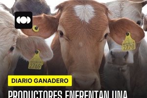 Productores enfrentan una de las mayores presiones económicas; CNOG llama a comprar ganado mexicano