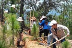 Llama AGRICULTURA a participar en la Jornada Nacional de Reforestación 2026
