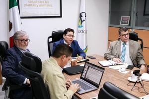Refuerzan AGRICULTURA y cinco estados medidas para prevenir ingreso de gusano barrenador del ganado en el norte de México