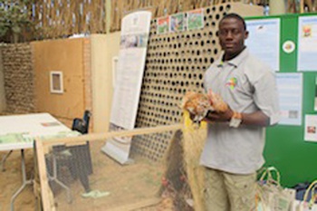 El joven agricultor Nelson Haulamba. / Crédito:Marianne Pretorius/IPS El joven agricultor Nelson Haulamba.  Crédito: Marianne Pretorius/IPS