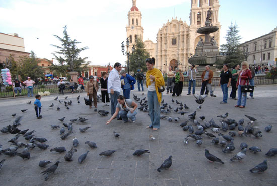 Comprometido Sector Turístico a impulsar un Turismo para Todos 