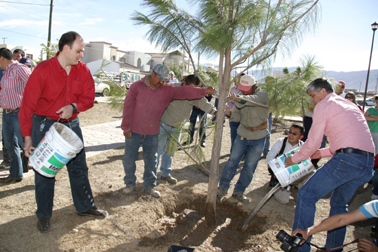 Entre 600 mil y 800 mil arboles se plantarán este año en Coahuila con el programa de Reforestacion de la Gente 