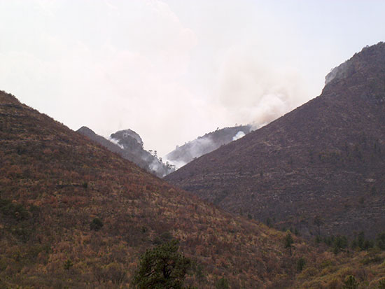 En un radio de 150 kilómetros  combaten brigadistas incendios forestales en Coahuila