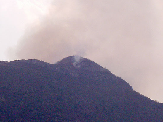 En un radio de 150 kilómetros  combaten brigadistas incendios forestales en Coahuila