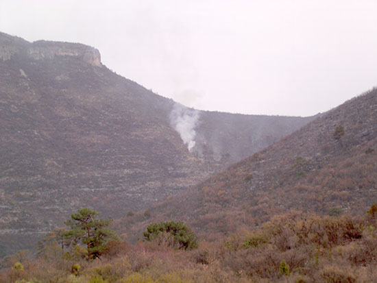 En un radio de 150 kilómetros  combaten brigadistas incendios forestales en Coahuila