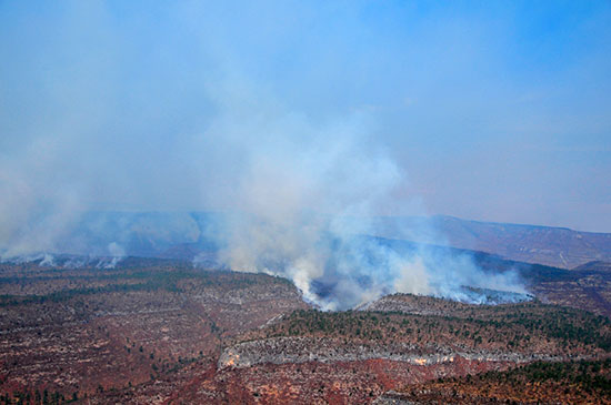 En un radio de 150 kilómetros  combaten brigadistas incendios forestales en Coahuila