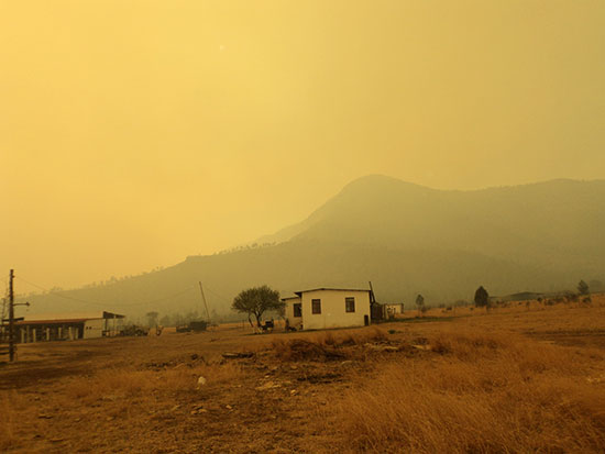 En un radio de 150 kilómetros  combaten brigadistas incendios forestales en Coahuila