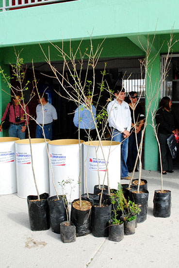 Reforestarán Acuña con 10 mil árboles