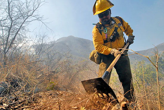 Con 120 brigadistas se combate incendio forestal en las cercanías de Monterreal, en Arteaga