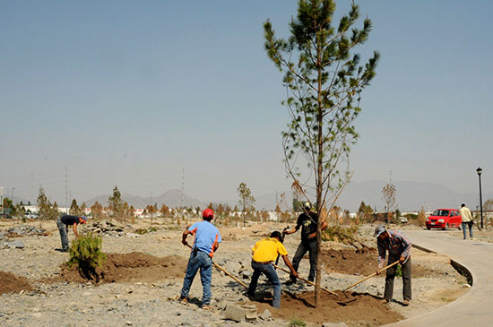 Adelante los trabajos de la cuarta etapa del Gran Bosque Urbano de Saltillo