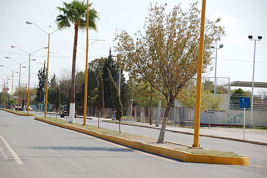 Luce limpia la ciudad de Nueva Rosita