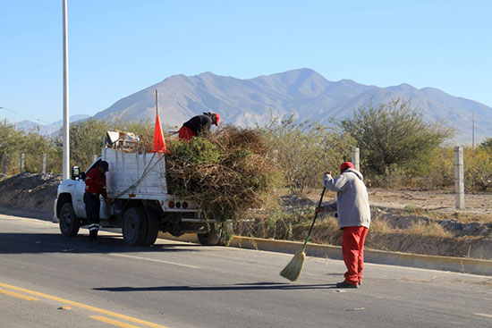 Limpia y deshierba Ecología bulevar Colosio