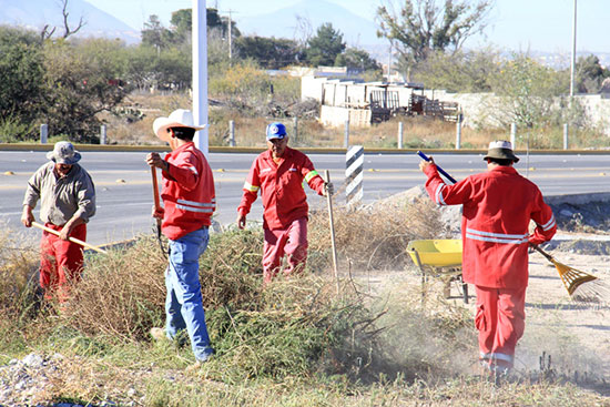 Limpia y deshierba Ecología bulevar Colosio