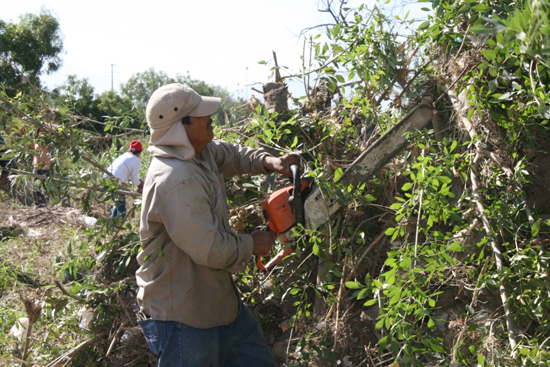 Continúa Ecología Municipal trabajando por el medio ambiente 