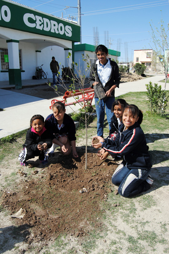 Realizan reforestación de plaza pública del Centro Comunitario Cedros con “Pinta de Verde tu Ciudad” 