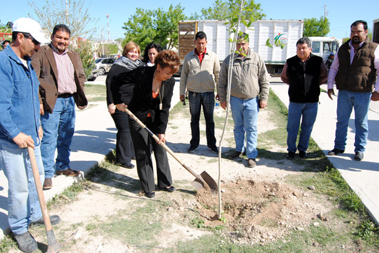 Realizan reforestación de plaza pública del Centro Comunitario Cedros con “Pinta de Verde tu Ciudad” 