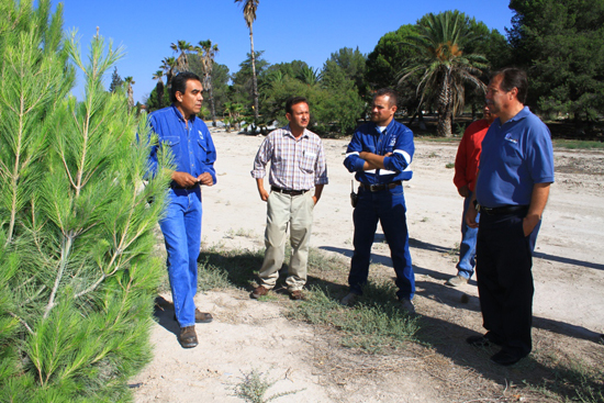 Apoyan empresas proyecto de reforestación de Saltillo 