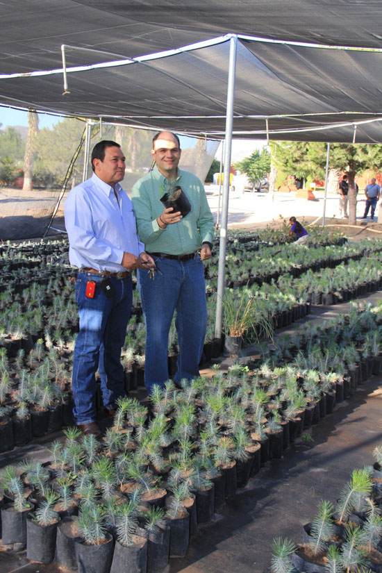  VISITA ALCALDE INSTALACIONES DEL VIVERO MUNICIPAL