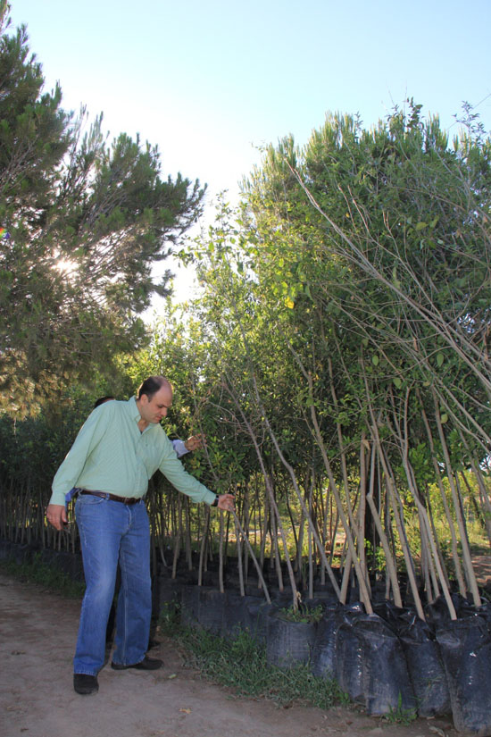  VISITA ALCALDE INSTALACIONES DEL VIVERO MUNICIPAL