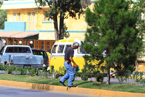 No pise el pasto… ni las flores