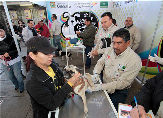 Es Coahuila sede de Semana de Vacunación Antirrábica