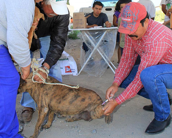 Inicia municipio Campaña de Vacunación Antirrábica