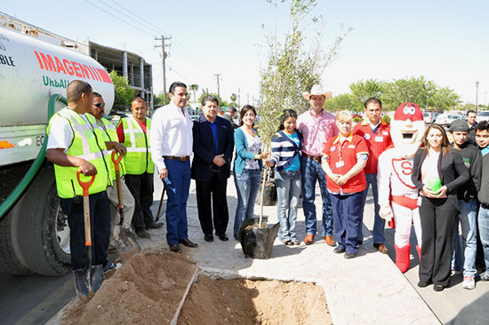 Recibe municipio donación de 19 encinos