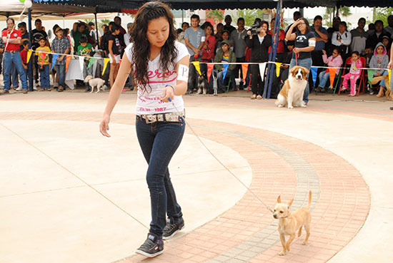 Un éxito el 8vo. Concurso Internacional de Mascotas