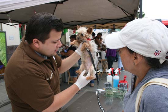 Celebran 24 aniversario de Clínica Veterinaria Chavarría