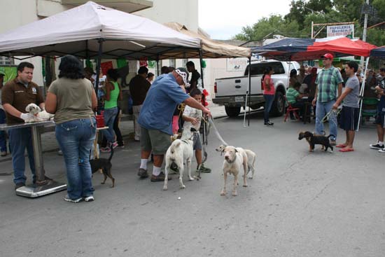 Celebran 24 aniversario de Clínica Veterinaria Chavarría