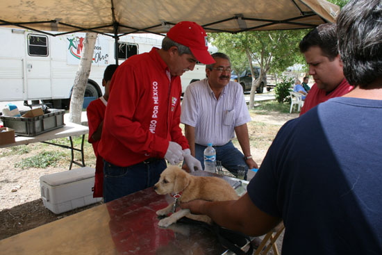 Veterinarios de Clínica Chavarría en brigada multidisciplinaria del PRI