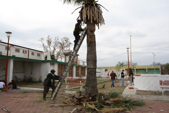 La Dirección de Ecología y misioneros cristianos realizan brigada multidisciplinaria 