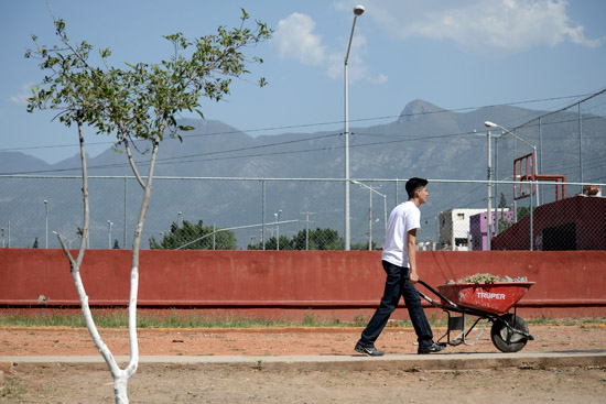 Trabajan estudiantes por Saltillo 