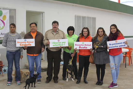 Cumplieron la tarea de esterilizar a cien mascotas 