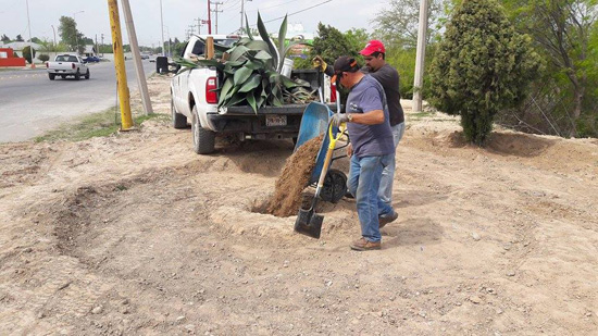 Definidas las acciones de ecología municipal en el Día Mundial de La Tierra 