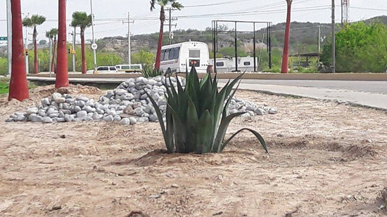 Definidas las acciones de ecología municipal en el Día Mundial de La Tierra 