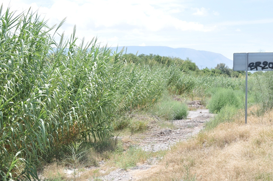 Consigue el Alcalde casi 1 MDP para la limpieza del Río Monclova 