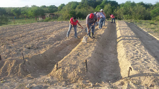 En marcha programa de Empleo Temporal en tres comunidades rurales 