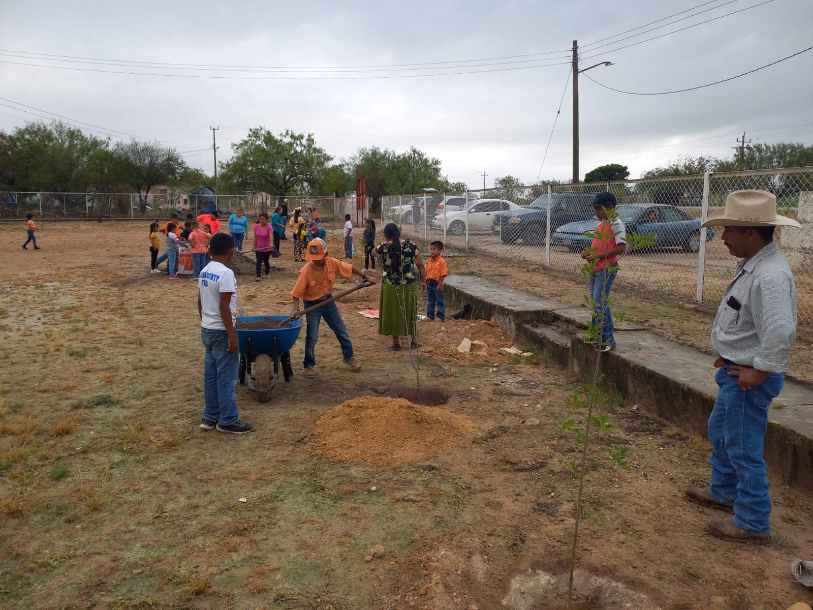 Éxito en la Campaña de Reforestación de la Primaria Miguel Hidalgo en el Ejido Calles, Municipio de Acuña
