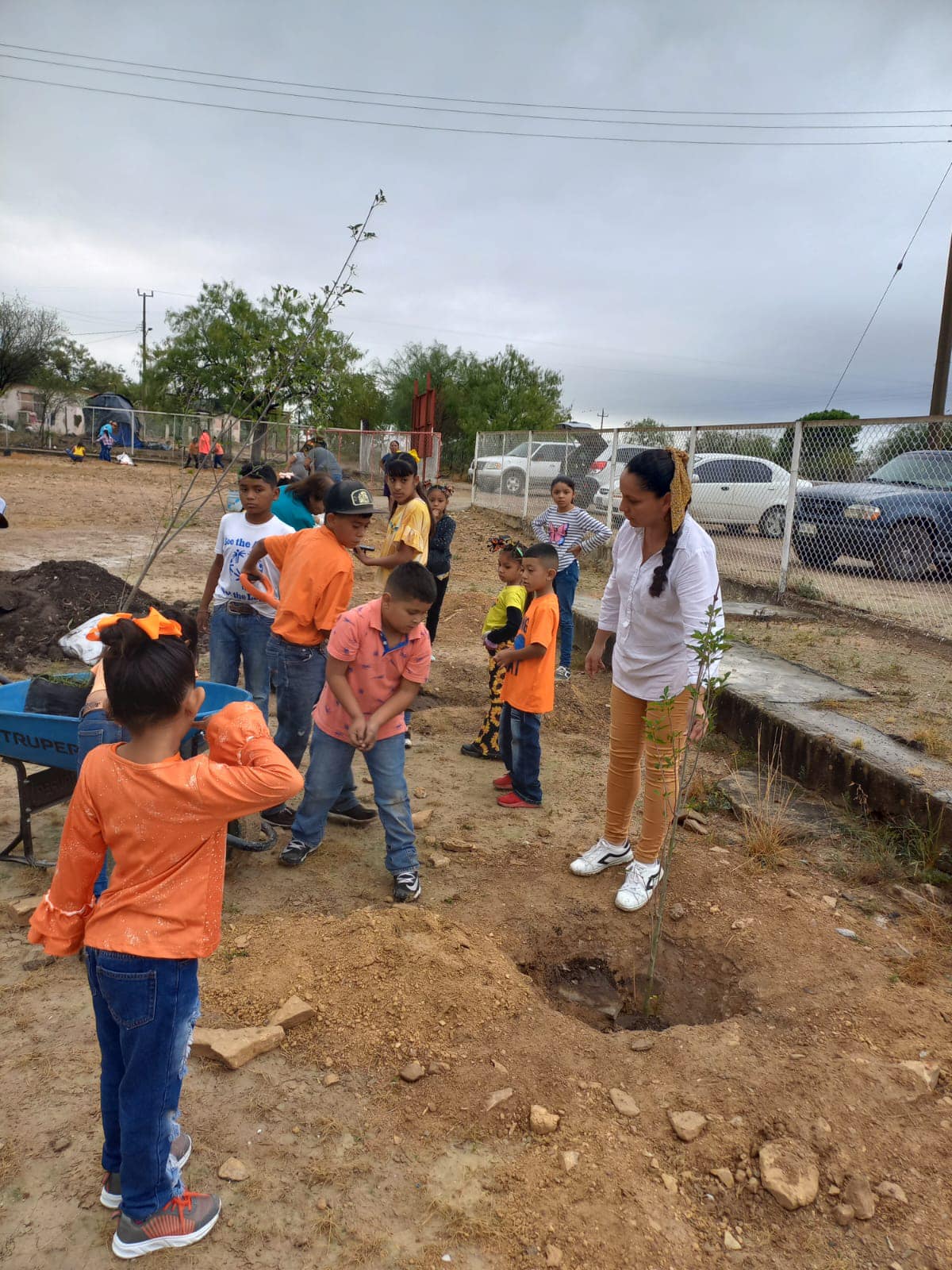 Éxito en la Campaña de Reforestación de la Primaria Miguel Hidalgo en el Ejido Calles, Municipio de Acuña