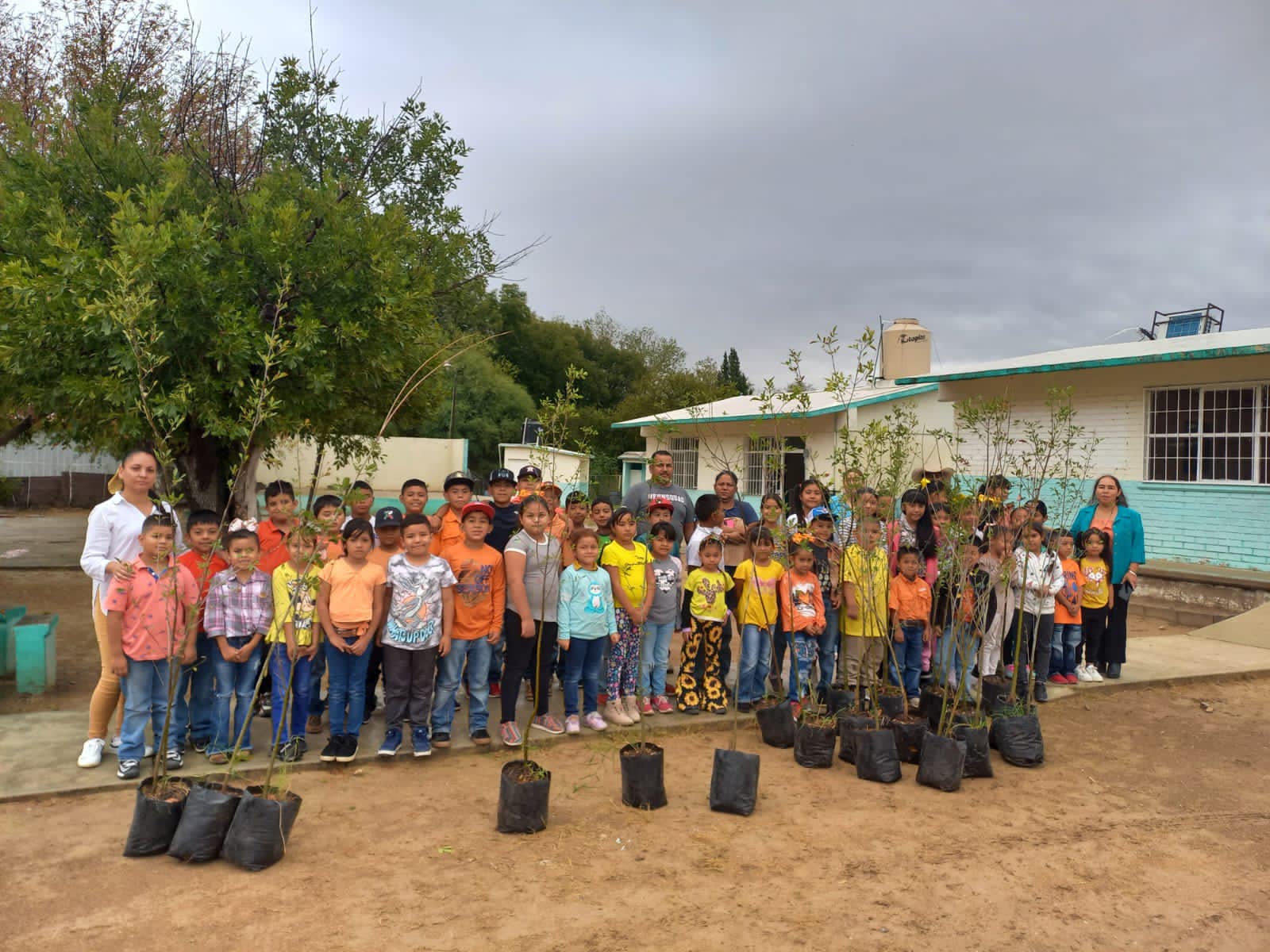 Éxito en la Campaña de Reforestación de la Primaria Miguel Hidalgo en el Ejido Calles, Municipio de Acuña