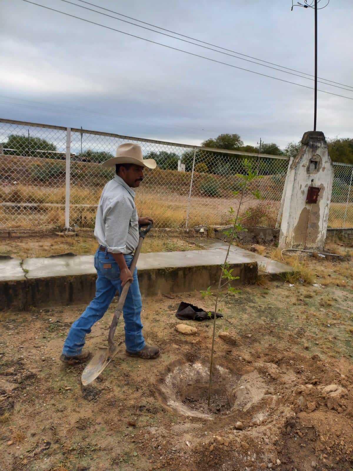 Éxito en la Campaña de Reforestación de la Primaria Miguel Hidalgo en el Ejido Calles, Municipio de Acuña