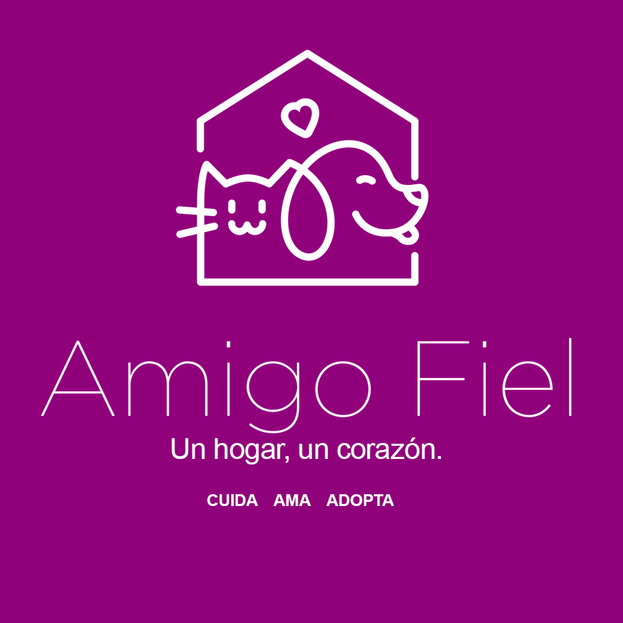 POSITIVA RESPUESTA DE PROPIETARIOS DE MASCOTAS A LA CAMPAÑA GRATUITA DE VACUNACIÓN ANTIRRÁBICA