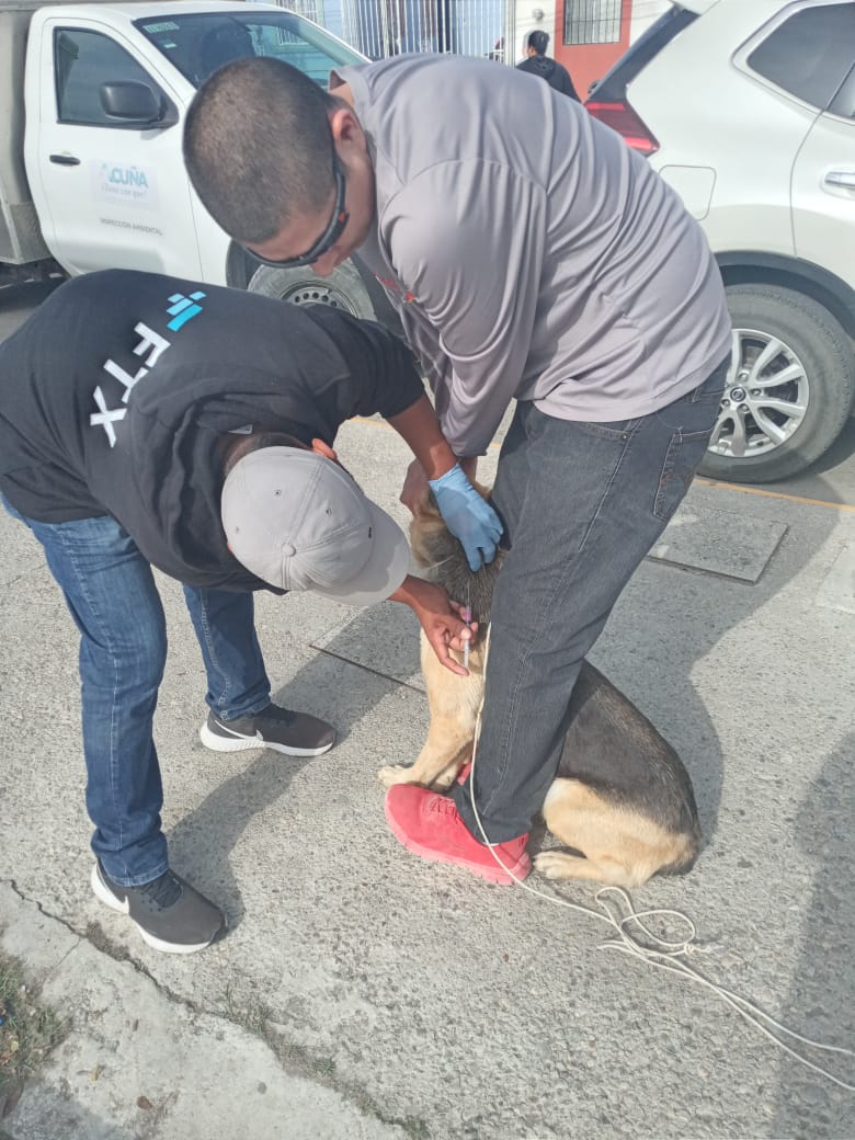 POSITIVA RESPUESTA DE PROPIETARIOS DE MASCOTAS A LA CAMPAÑA GRATUITA DE VACUNACIÓN ANTIRRÁBICA
