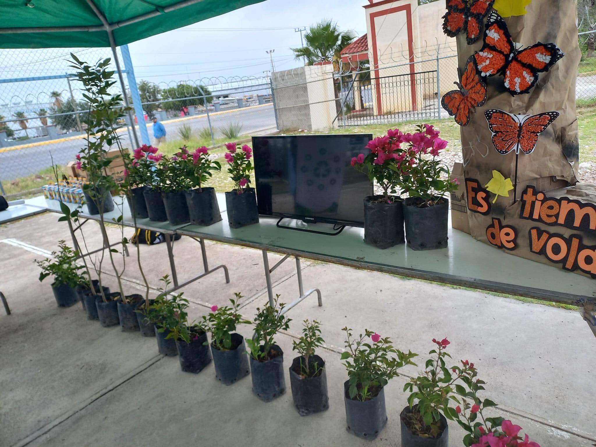 la Dirección de Ecologia participa en la empresa Bendix de México S A. de C.V.