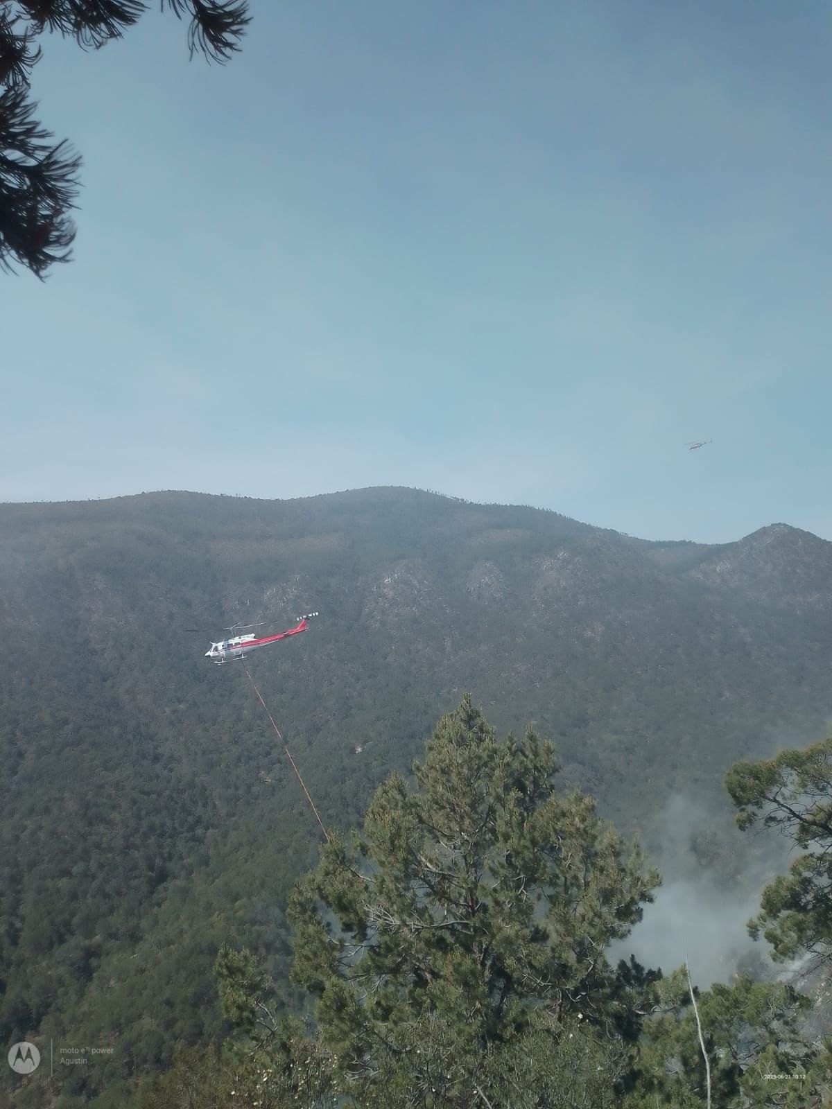 COMUNICADO DE LA SECRETARÍA DEL MEDIO AMBIENTE SOBRE LOS INCENDIOS FORESTALES