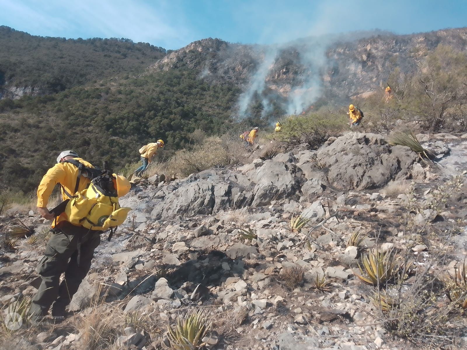 COMUNICADO DE LA SECRETARÍA DEL MEDIO AMBIENTE SOBRE LOS INCENDIOS FORESTALES