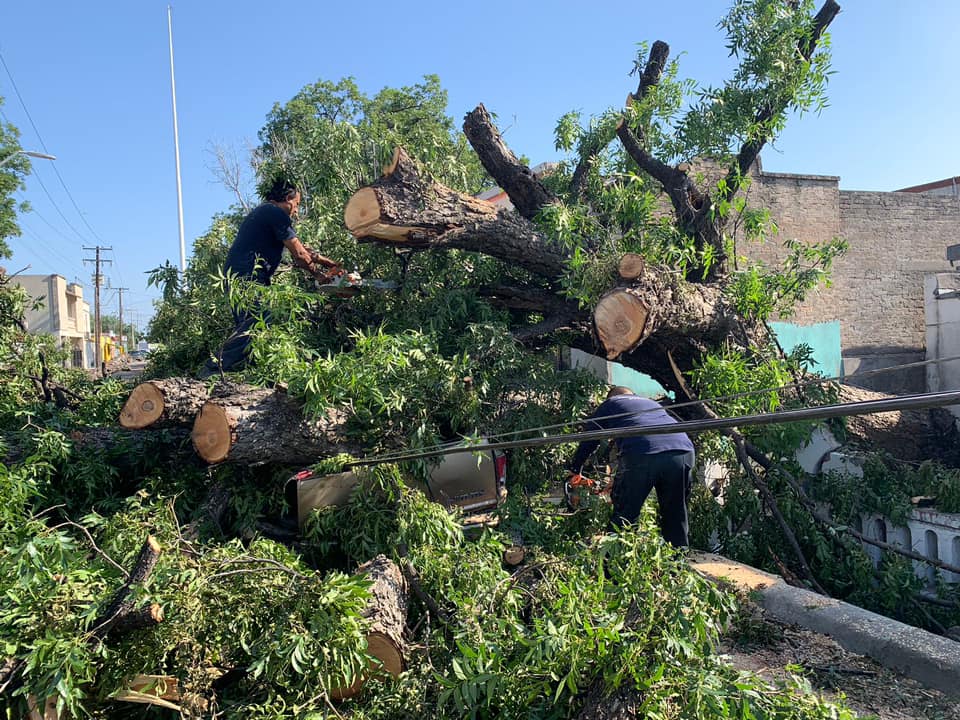 ATIENDE GOBIERNO DEL ESTADO AFECTACIONES CAUSADAS POR TORMENTA EN MUNICIPIOS DEL NORTE Y CARBONÍFERA